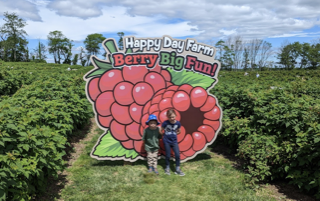 Happy Day Large Raspberries