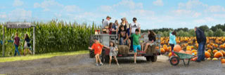 MacArt Studios: Growing Agritourism Attractions