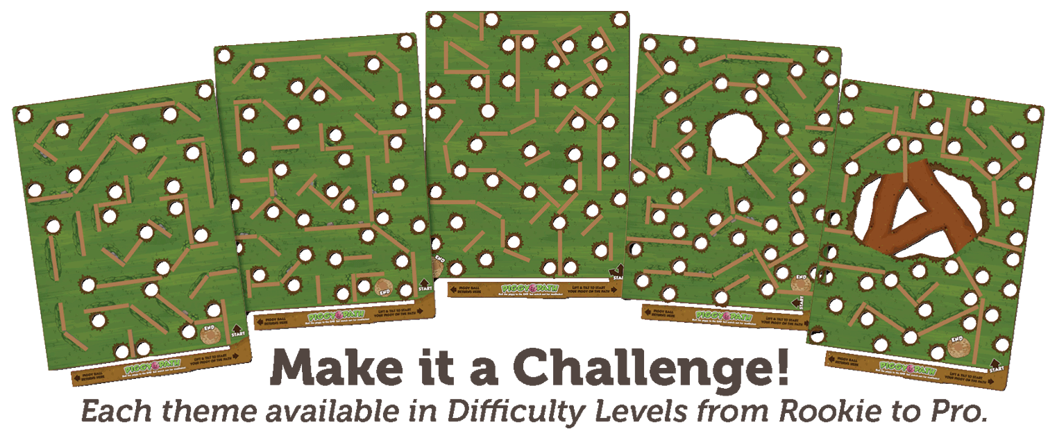 Eacg Tilt-A-Maze is available in  Difficulty Levels from Rookie to Pro.