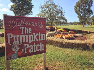 The Rock Ranch Pumpkin Patch Sign